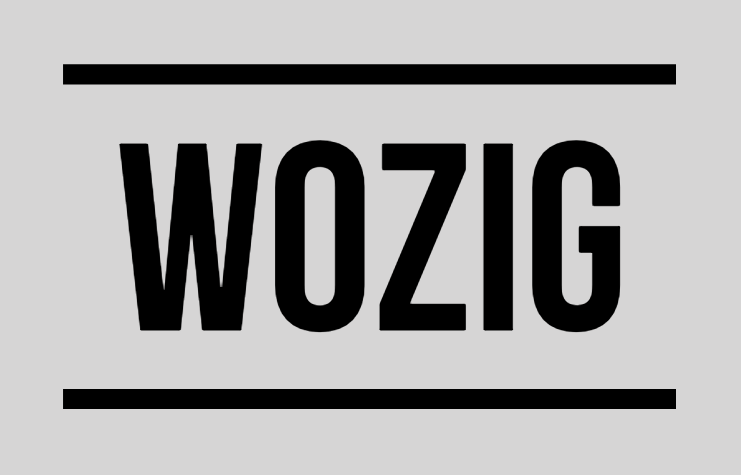 Wozig